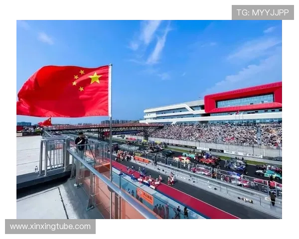 成都排球队耐力之争引发热议球迷与专家各执己见