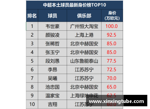 探究足球球员身价计算方法的新视角