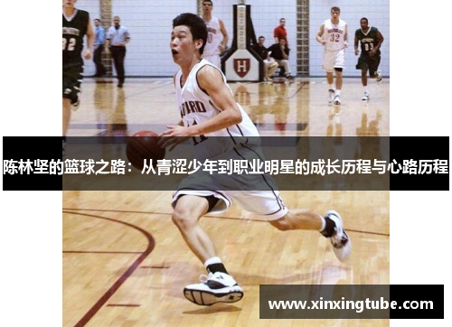 陈林坚的篮球之路：从青涩少年到职业明星的成长历程与心路历程