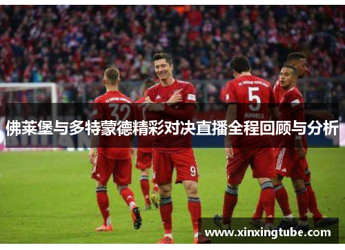 佛莱堡与多特蒙德精彩对决直播全程回顾与分析